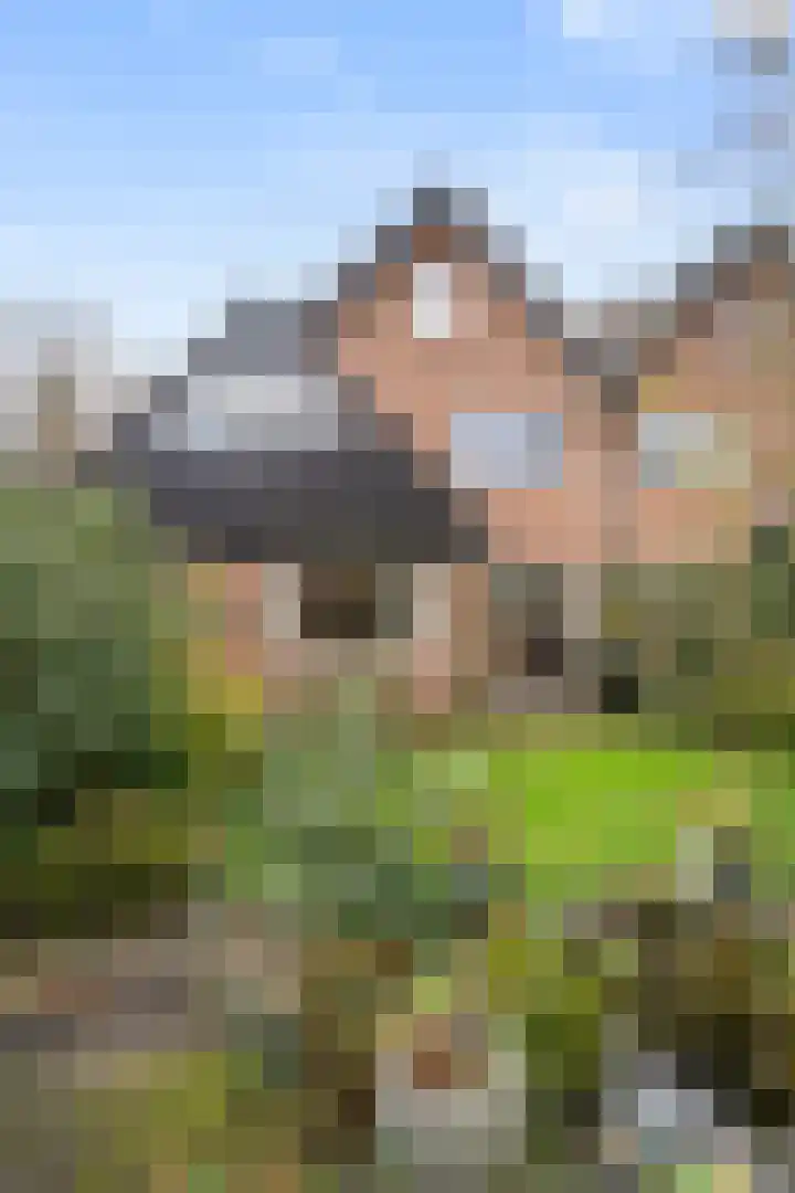 Breehoven 30 Bennekom thumbnail 12