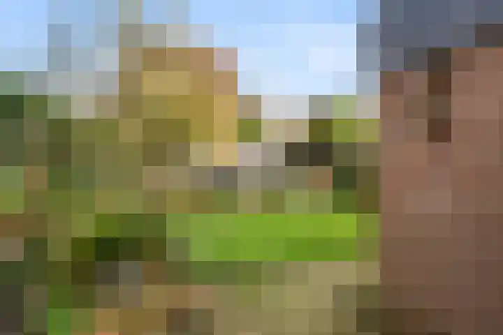 Breehoven 30 Bennekom thumbnail 15