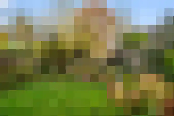 Breehoven 30 Bennekom thumbnail 16