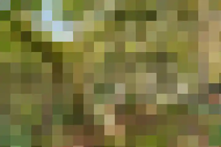 Breehoven 30 Bennekom thumbnail 17