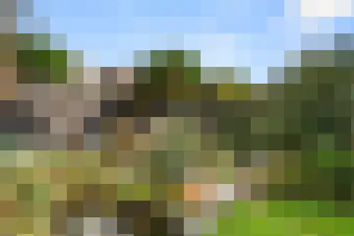 Breehoven 30 Bennekom thumbnail 19