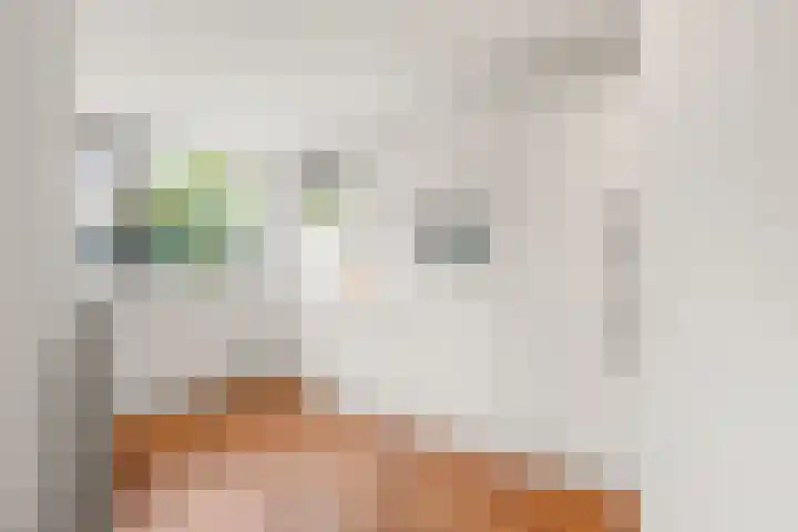 Breehoven 30 Bennekom thumbnail 31