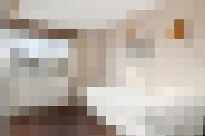 Breehoven 30 Bennekom thumbnail 43