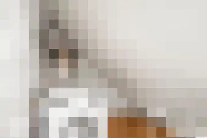 Breehoven 30 Bennekom thumbnail 52