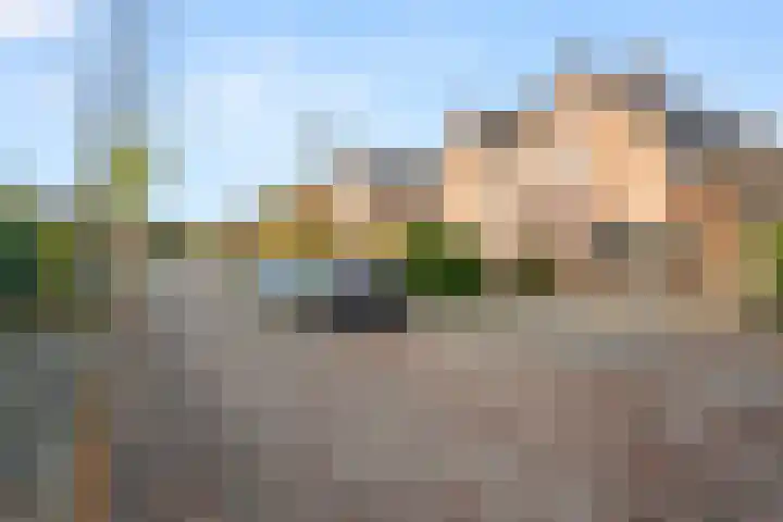 Breehoven 30 Bennekom thumbnail 6