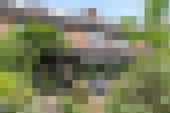 Breehoven 42 Bennekom thumbnail 7