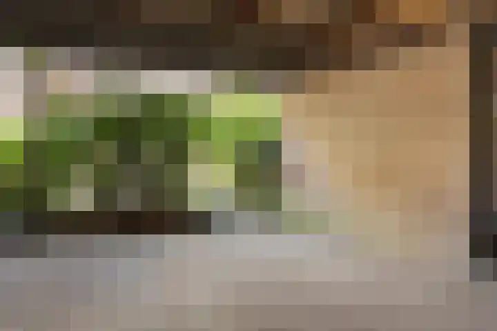 Breehoven 51 Bennekom thumbnail 19