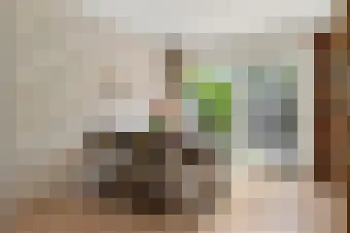 Breehoven 51 Bennekom thumbnail 32