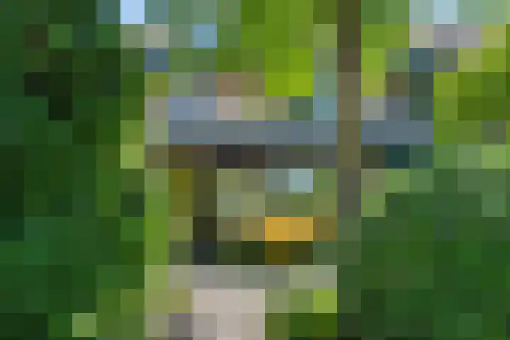 Breehoven 51 Bennekom thumbnail 5