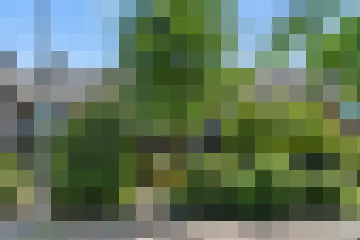 Breehoven 51 Bennekom thumbnail 6