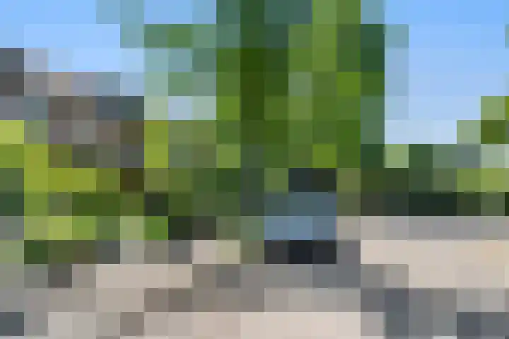 Breehoven 51 Bennekom thumbnail 7