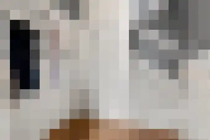 Breehoven 7 Bennekom thumbnail 24