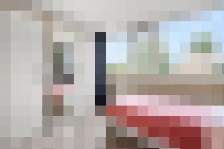Breehoven 7 Bennekom thumbnail 39