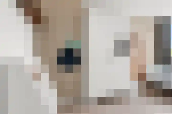 Breehoven 7 Bennekom thumbnail 41