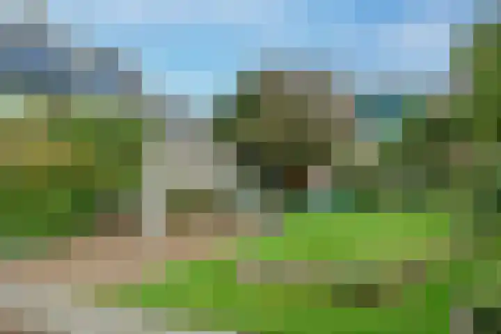 Breehoven 74 Bennekom thumbnail 10