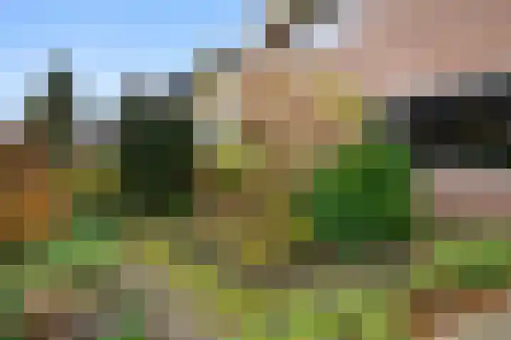 Breehoven 74 Bennekom thumbnail 11