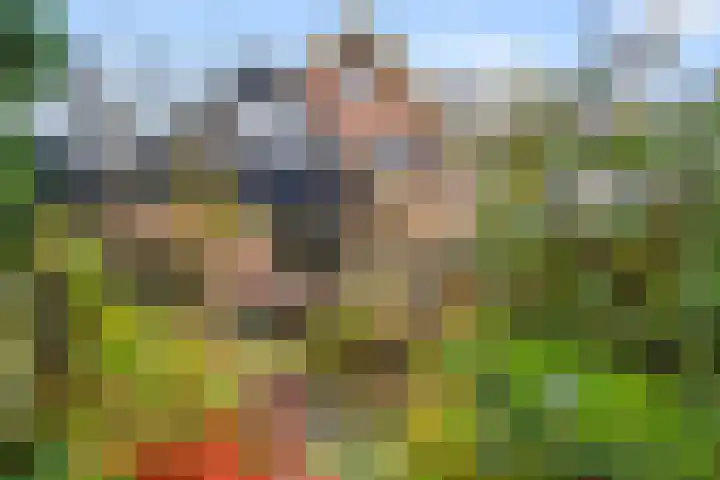 Breehoven 74 Bennekom thumbnail 13