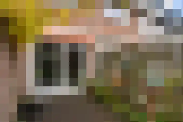 Breehoven 74 Bennekom thumbnail 15