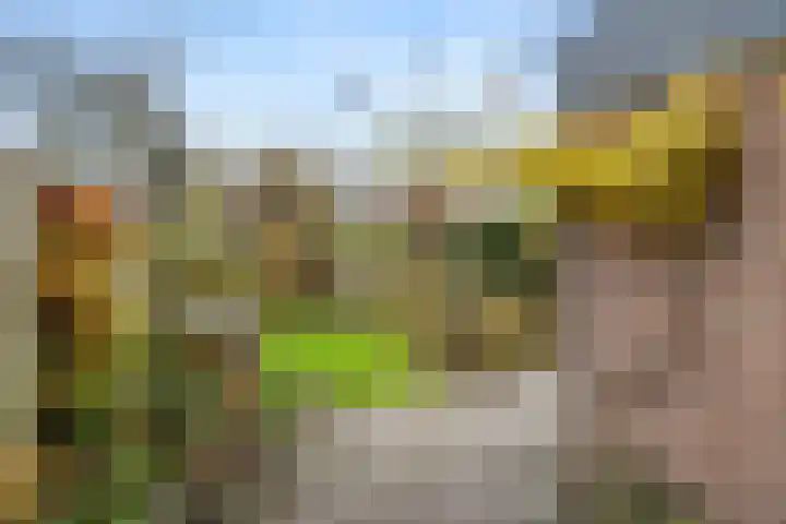 Breehoven 74 Bennekom thumbnail 16