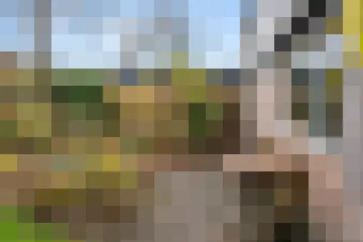Breehoven 74 Bennekom thumbnail 17