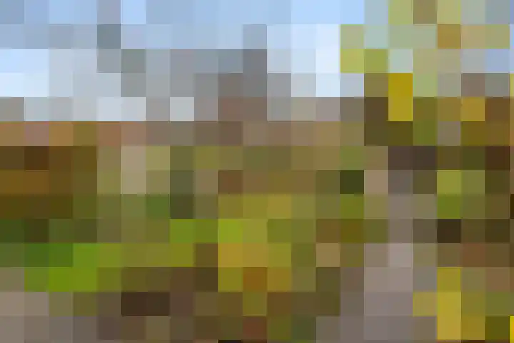 Breehoven 74 Bennekom thumbnail 18