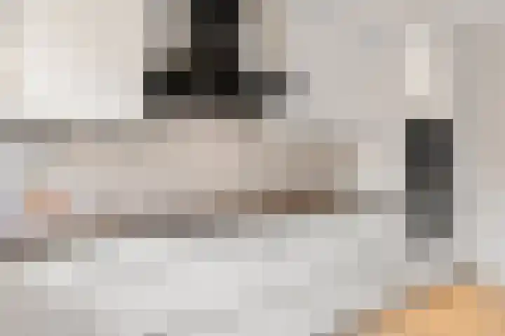 Breehoven 74 Bennekom thumbnail 38