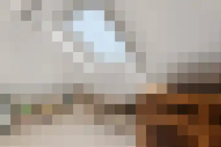 Breehoven 74 Bennekom thumbnail 56