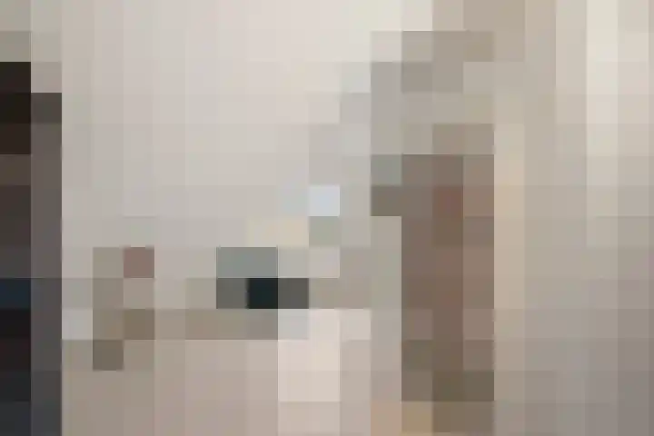 Breehoven 74 Bennekom thumbnail 58