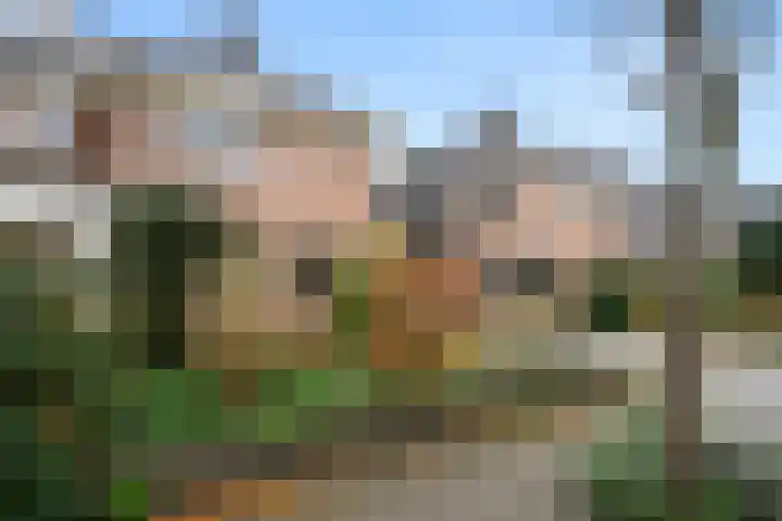 Breehoven 74 Bennekom thumbnail 7