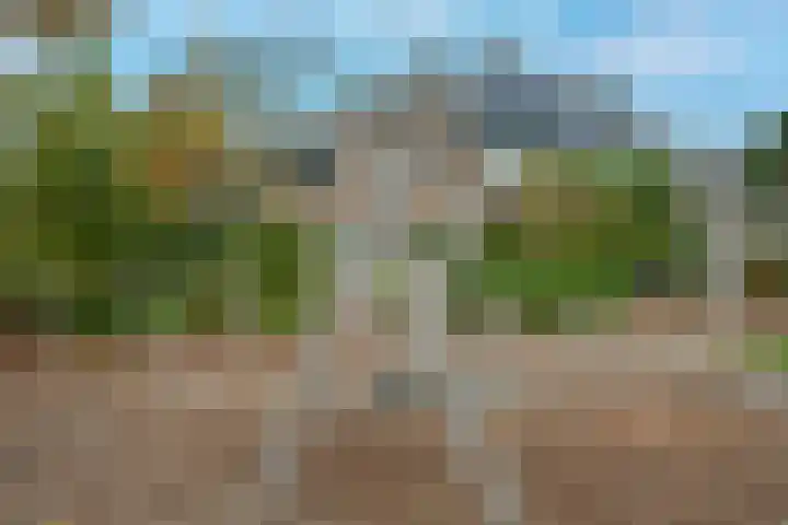 Breehoven 74 Bennekom thumbnail 8