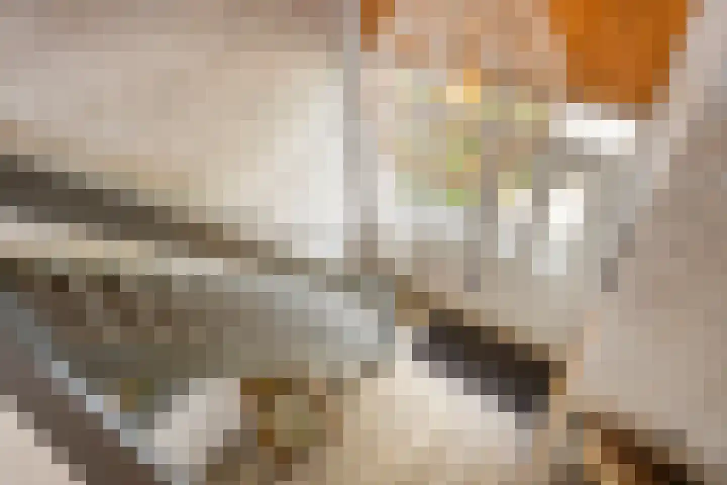 Breekade 17 Krimpen aan den IJssel thumbnail 21