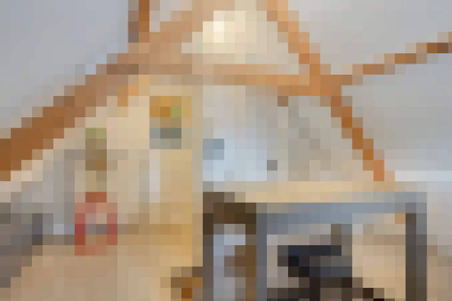 Breekade 17 Krimpen aan den IJssel thumbnail 41