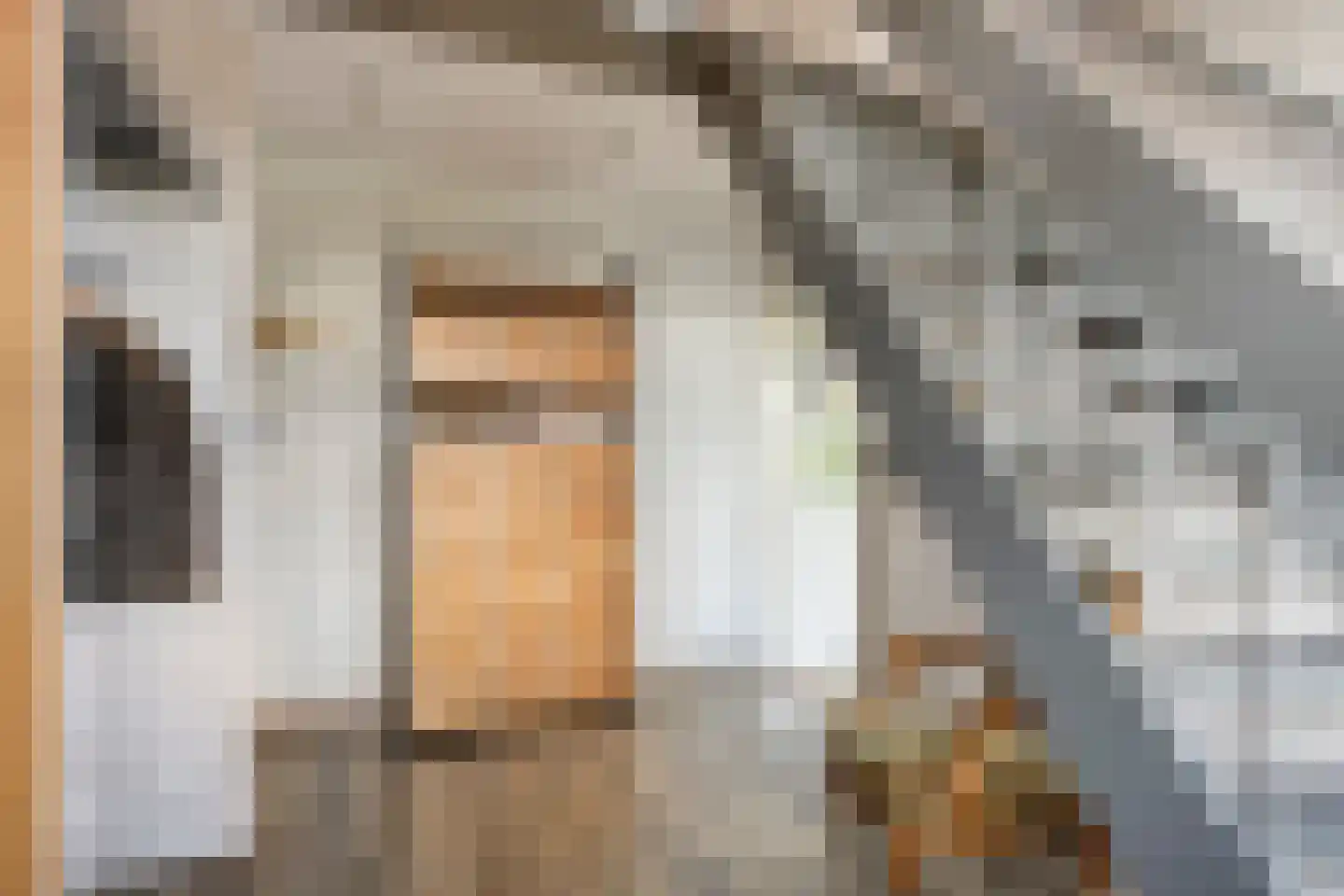 Breekade 17 Krimpen aan den IJssel thumbnail 5