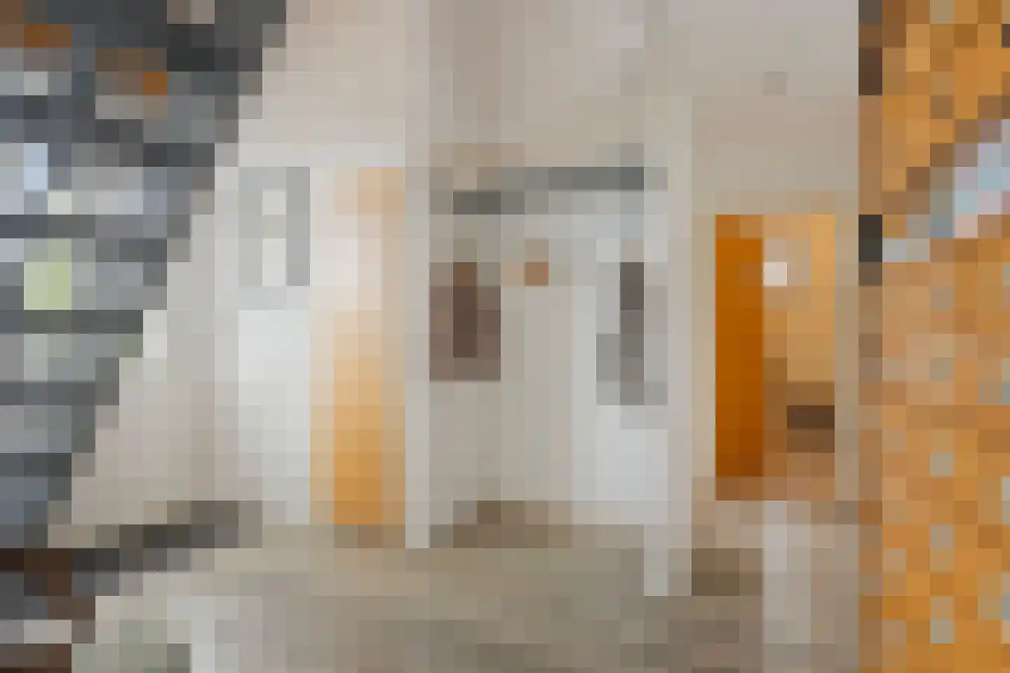 Breekade 17 Krimpen aan den IJssel thumbnail 6