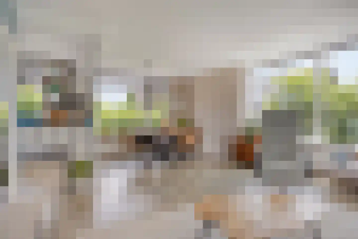 Breekade 17 Krimpen aan den IJssel thumbnail 9