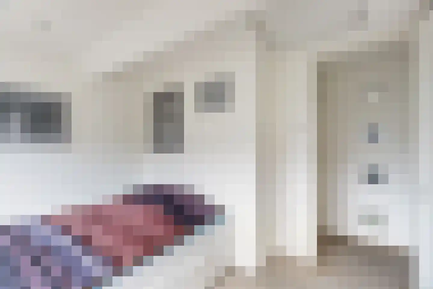Breekade 21 Krimpen aan de Lek thumbnail 19
