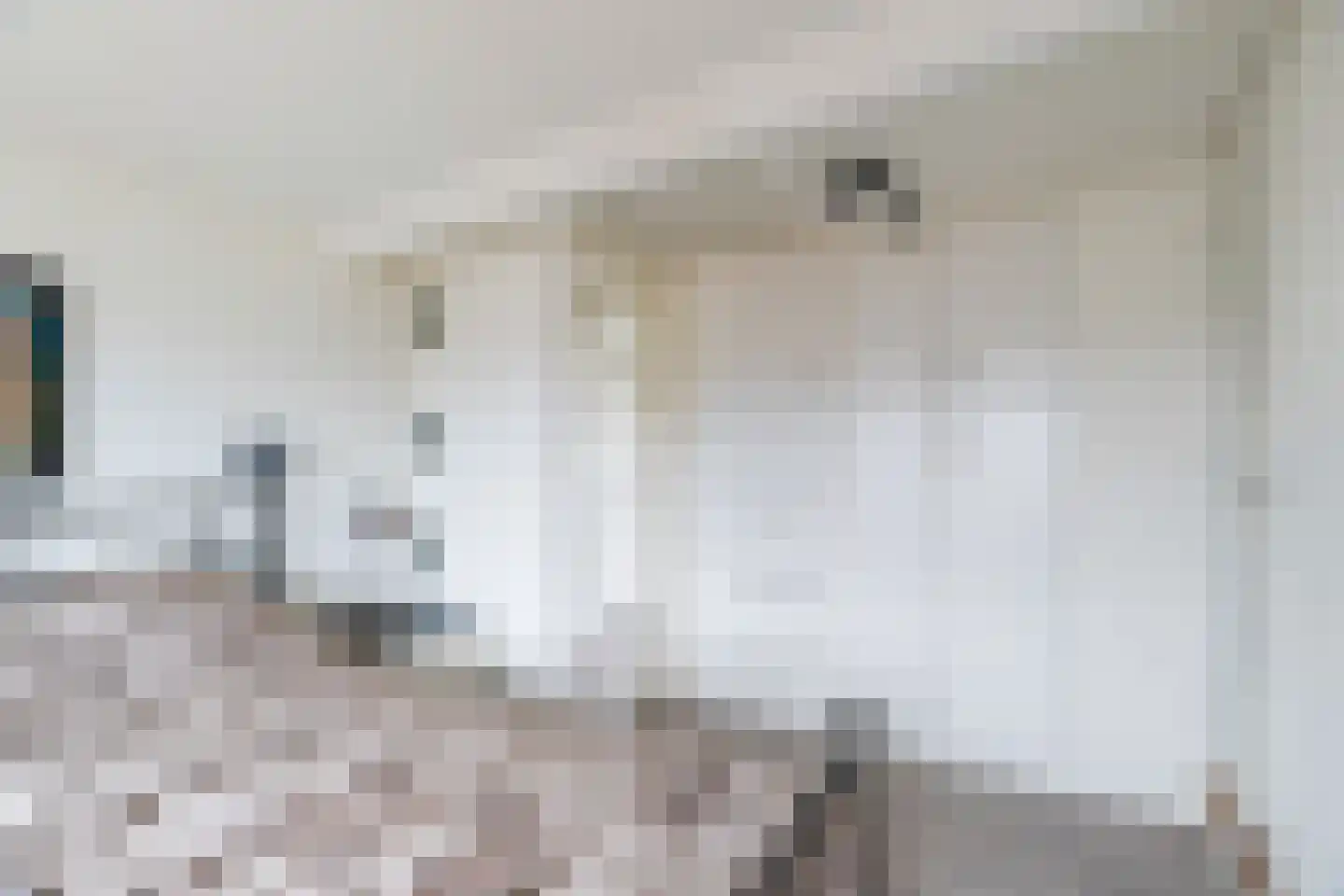 Breekade 21 Krimpen aan de Lek thumbnail 23
