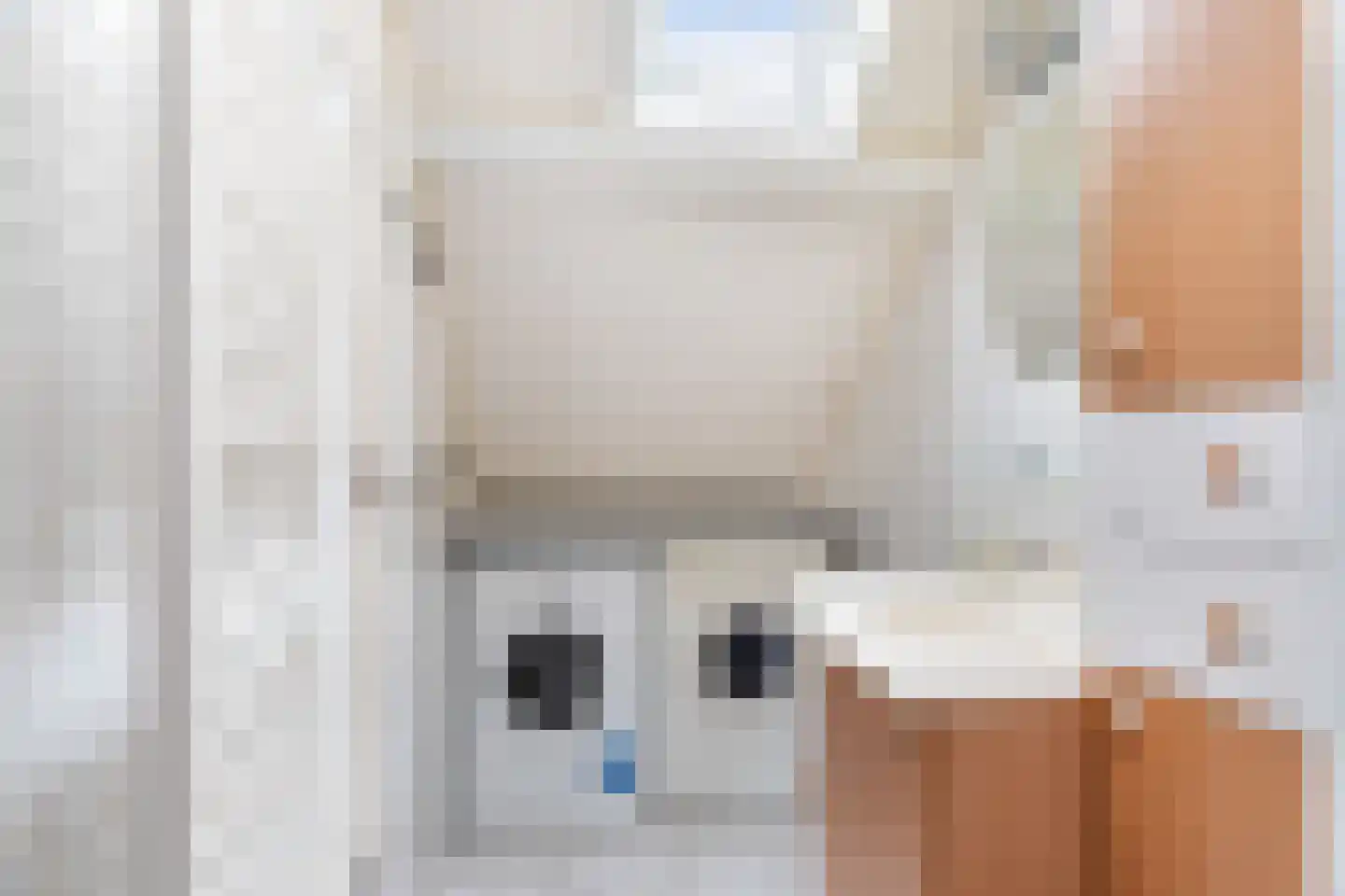 Breekade 21 Krimpen aan de Lek thumbnail 25