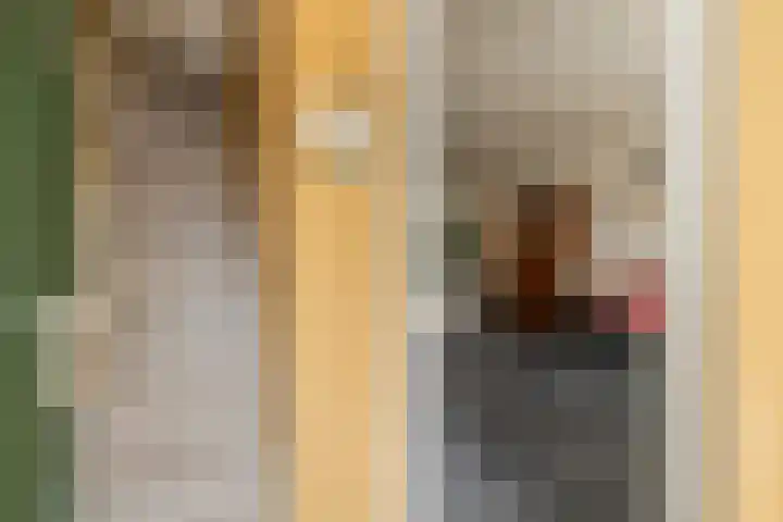 Breekade 7 Krimpen aan de Lek thumbnail 10