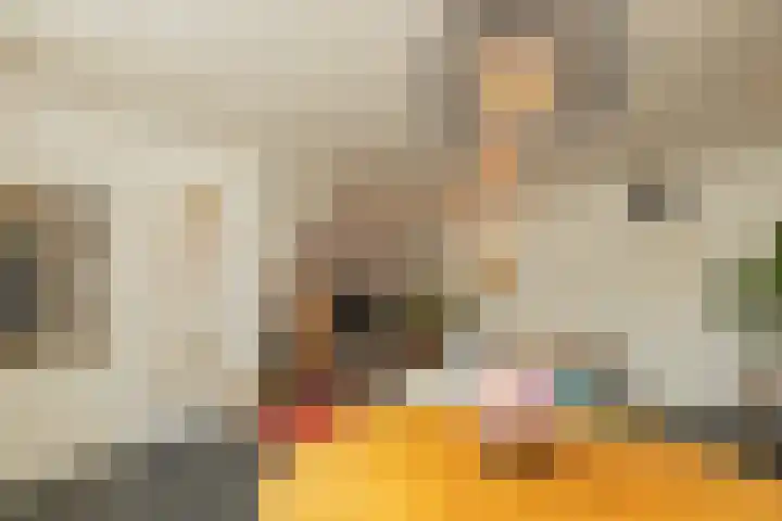 Breekade 7 Krimpen aan de Lek thumbnail 11