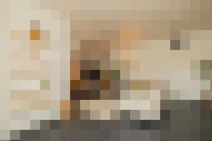 Breekade 7 Krimpen aan de Lek thumbnail 12