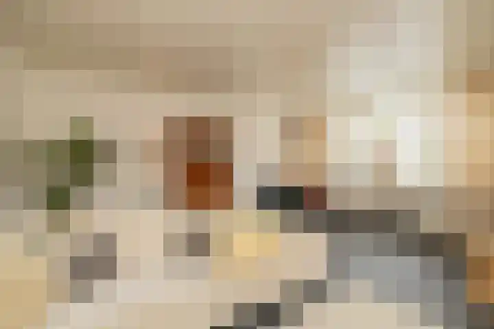Breekade 7 Krimpen aan de Lek thumbnail 14