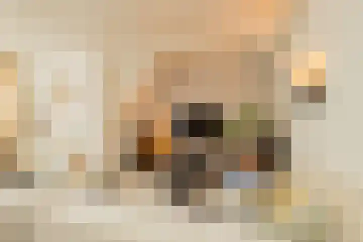Breekade 7 Krimpen aan de Lek thumbnail 15