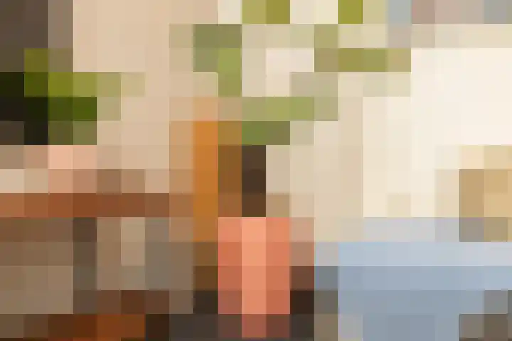 Breekade 7 Krimpen aan de Lek thumbnail 17