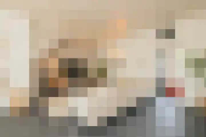 Breekade 7 Krimpen aan de Lek thumbnail 18