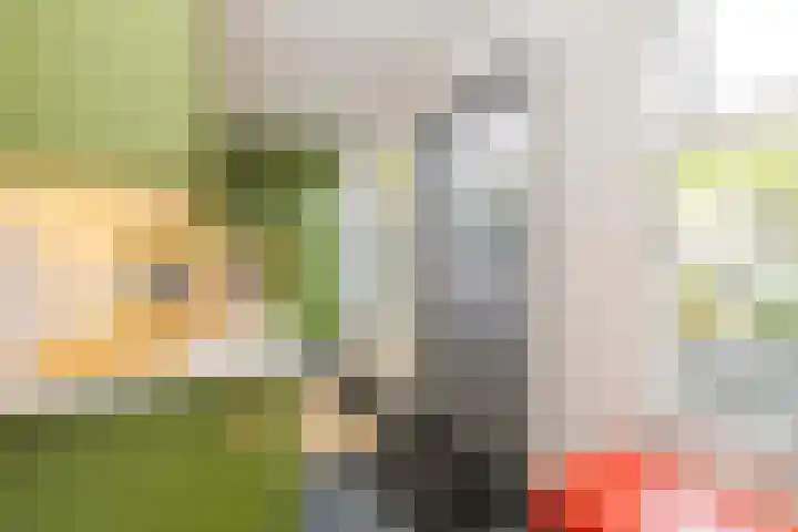 Breekade 7 Krimpen aan de Lek thumbnail 19
