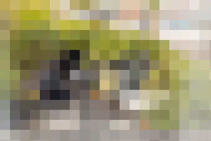Breekade 7 Krimpen aan de Lek foto 2