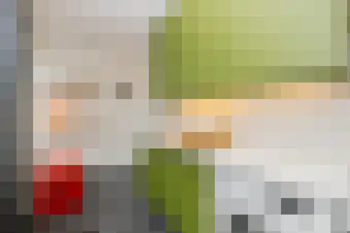 Breekade 7 Krimpen aan de Lek thumbnail 20