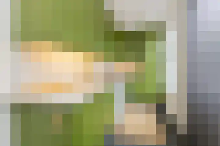 Breekade 7 Krimpen aan de Lek thumbnail 22