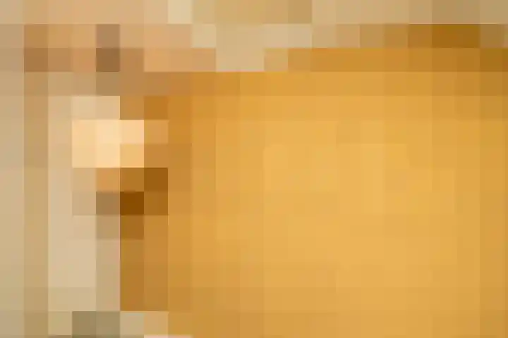 Breekade 7 Krimpen aan de Lek thumbnail 25